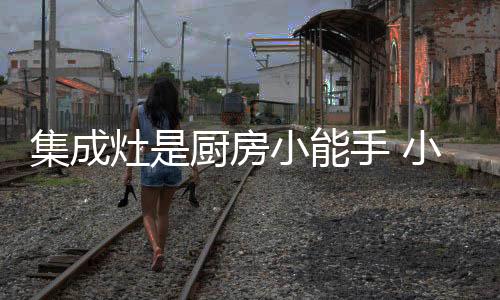 森歌无论在产品技术