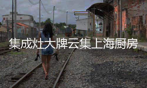 此次会展受到了极大关注