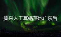 集采人工耳蜗落地广东后，哪些人最受益�？
