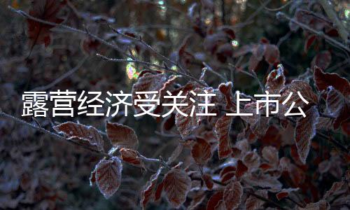 湖畔型露营营地占比超四成
