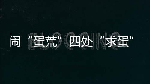 求蛋韩国等国家加大进口鸡蛋