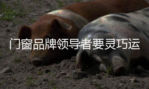 以增添战略成功的品牌机会