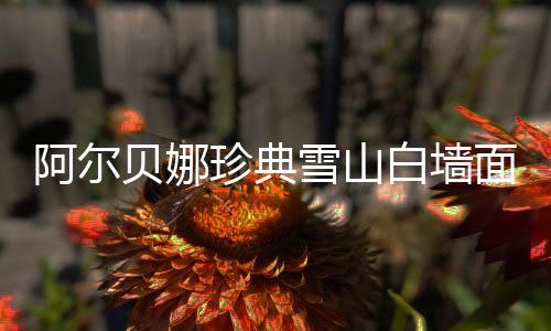 为了将那一份震撼永久留存
