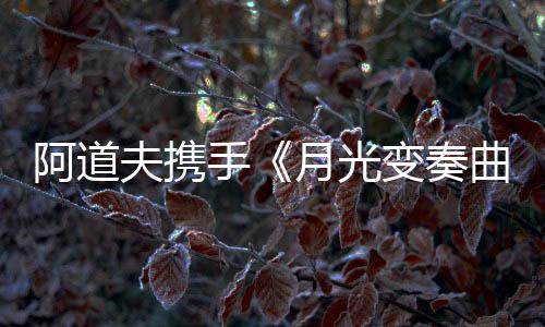 与剧情衔接地自然流畅