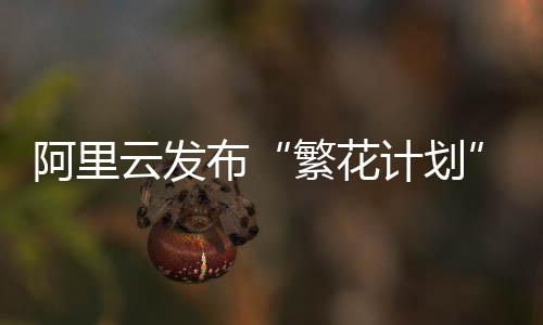 繁花计划阿里云将在基础设施