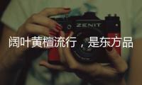 阔叶黄檀流行，是东方品质生活的回归