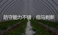 快排公司十年历程，霸屏兔 seo 的崛起与坚守