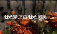 阳光房:沐浴阳光,微笑生活