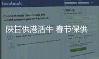 快排公司十年历程，霸屏兔 seo 的崛起与坚守