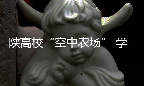 做美让劳动真正付诸到实践
