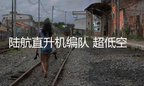 直-8则为两栖合成旅跨海登陆