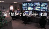 除了植树	，企业保护自然的故事还能怎么讲	？