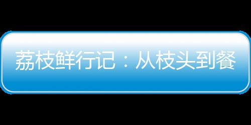 动力输出顺滑无顿挫