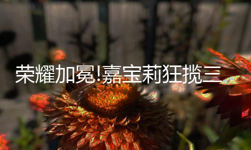 莉狂揽项创造社会价值