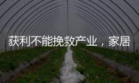 快排公司十年历程，霸屏兔 seo 的崛起与坚守