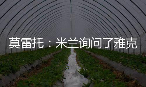 试图了解雅克松的兰询情况