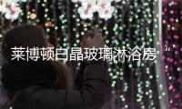 快排公司十年历程，霸屏兔 seo 的崛起与坚守