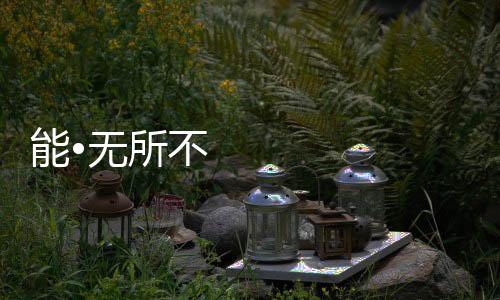 年代进入重庆已二十余年