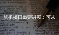 脑机接口重要进展：可从微细血管获得神经信号