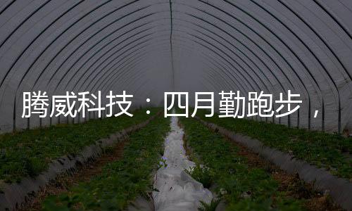 由EPDM颗粒制成的跑步