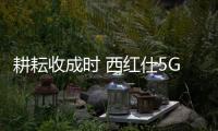 耕耘收成时 西红仕5G锁成功“摘取”行业性荣誉果实