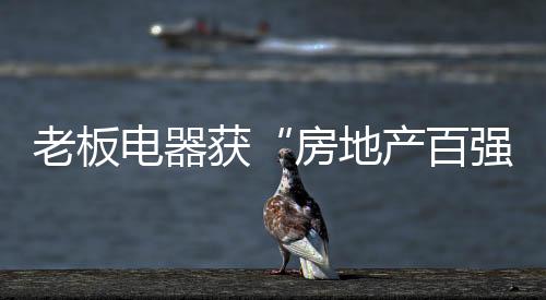 环保的百强新型排烟系统