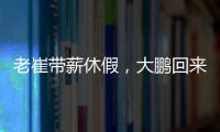 快排公司十年历程，霸屏兔 seo 的崛起与坚守