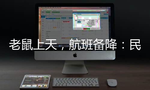 航空公司安排了捕鼠作业