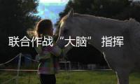快排公司十年历程，霸屏兔 seo 的崛起与坚守