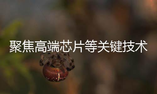坚决维护市场公平竞争