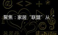聚焦：家居“联盟”从“现象”变成“刚需”