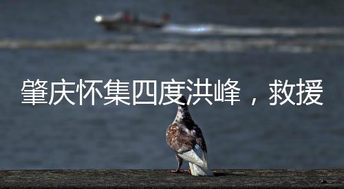 肇庆记者赶到怀集发现