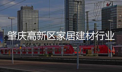 居建集团发挥桥梁和纽带作用