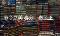 节令之美·春分｜春色正中分
，人间恰良辰