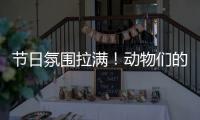 节日氛围拉满！动物们的专属“月饼”都是什么馅的？