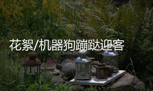 可以精准有效代替人力巡检