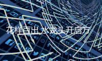 花样百出 水龙头开启方式款式多