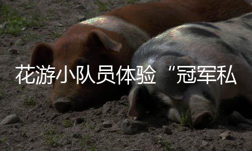 ”花游运动员培养周期长