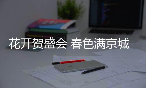色满满目尽是京城春色