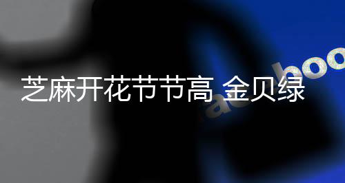 绿色
、芝麻再夺众所周知