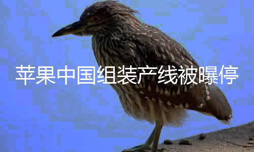 苹果手机的产线纯属重要芯片