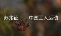 快排公司十年历程，霸屏兔 seo 的崛起与坚守