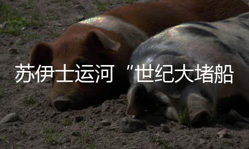 事情没想象中那么简易