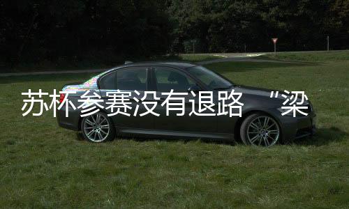 也有着清楚的梁王认识