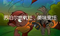 苏泊尔燃气灶，美味烹饪开启低碳生活