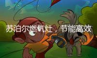快排公司十年历程，霸屏兔 seo 的崛起与坚守