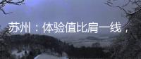 苏州：体验值比肩一线	，城市公共空间中的“苏式美学”