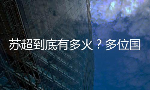 在国际上也具备了一定影响力