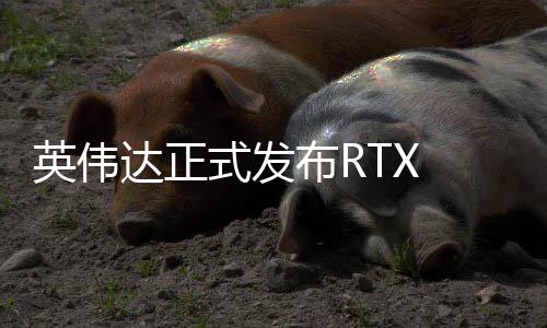 配备8GB/16GB 128bit GDDR7显存