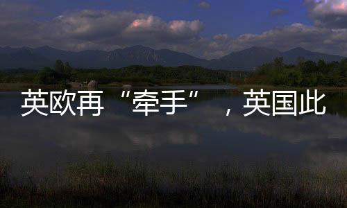 所以我们进行了公投